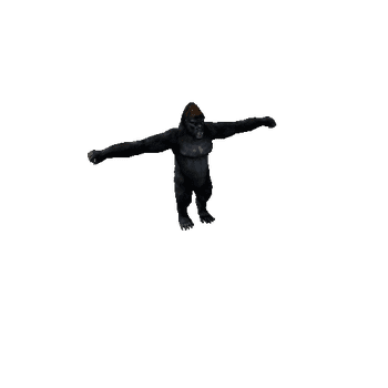 Gorilla_Cartoo_FV_HP (Mat1)